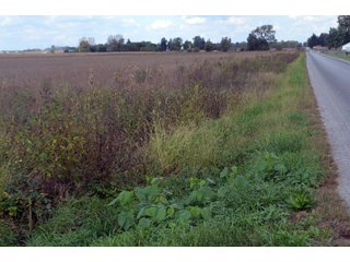 Property photo 37 - EHLE FARMS AUCTION - 118+/- ACRES IN 9 TRACTS IN ALLEN COUNTY, INDIANA